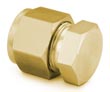  1/16 in.世伟洛克黄铜管帽